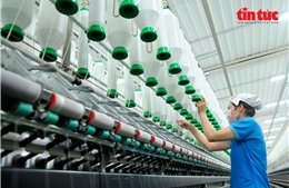 Doanh nghiệp TP Hồ Chí Minh tăng tốc chuyển đổi số để chinh phục thị trường toàn cầu