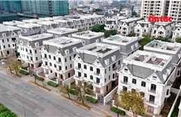 TP Hồ Chí Minh: Nhà phố, biệt thự tiền tỷ để hoang tàn nhiều năm ở Cát Lái