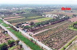 Đất nền giá rẻ trên đất nông nghiệp: Cẩn trọng mất tiền oan