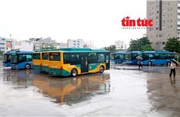 Miễn phí xe buýt ở TP Hồ Chí Minh: Bước đột phá cho giao thông công cộng