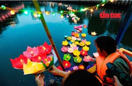 Lắng đọng với nghi thức thả hoa đăng mừng Phật đản