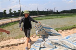 Người dân Nam Sơn dỡ lều bạt, xe chở rác bắt đầu hoạt động trở lại