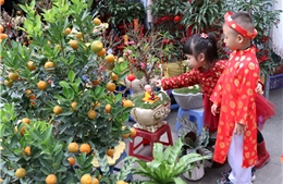  Chợ hoa Tết phố cổ Hà Nội họp 1 lần trong năm