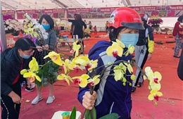 30 Tháng Chạp, người dân đổ xô mua hoa lan hạ giá 