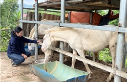 Lạng Sơn chú trọng giảm nghèo, nâng cao đời sống đồng bào