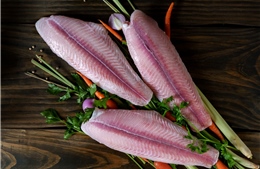 Sao Mai Super Feed và khát vọng vươn xa