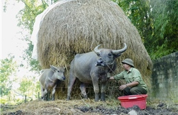 Triển khai hiệu quả chính sách an sinh, hỗ trợ đồng bào dân tộc ở Điện Biên