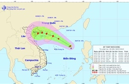 Áp thấp nhiệt đới có khả năng mạnh lên thành bão, giật cấp 11