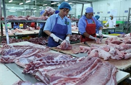  Bộ Công Thương lên tiếng khi giá thịt lợn trong nước liên tục tăng cao