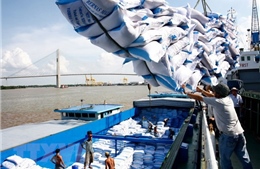 Hải quan không yêu cầu dỡ hàng ra khỏi container để kiểm tra gạo xuất khẩu