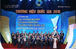 Phát triển thương hiệu quốc gia giúp nâng cao vị thế hàng Việt 