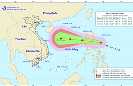 Biển Đông chuẩn bị đón bão, cảnh báo thông tin giả về cơn bão số 8