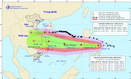 Bão số 8 vào Hà Tĩnh đến Quảng Trị, bão Molave giật cấp 12 đi vào biển Đông