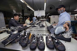 Xuất khẩu da giày có thể tăng trưởng 20% trong năm 2021