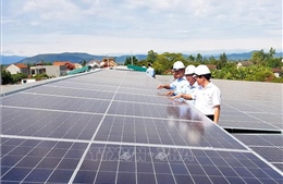 Bộ Công Thương: Giá điện mặt trời là phù hợp, sẽ có kết quả rà soát các dự án trong 40 ngày