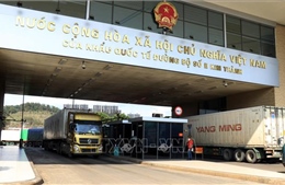 Đề nghị Trung Quốc miễn kiểm tra virus SARS-CoV-2 trên nông, thủy sản Việt Nam