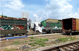 Chuyển 105 tấn nông sản chạy tàu đêm vào &#39;tiếp sức&#39; cho TP Hồ Chí Minh