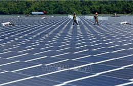 &#39;Gỡ vướng&#39; cho điện mặt trời mái nhà tại khu công nghiệp