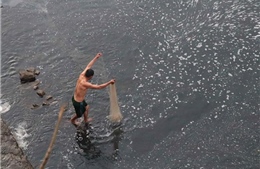 Sông Nậm Rốm ô nhiễm nghiêm trọng do các cơ sở chế biến tinh bột dong riềng xả thải