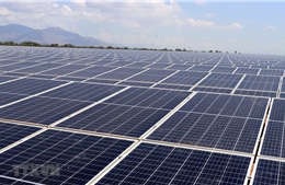 Hoa Kỳ khởi xướng điều tra phòng vệ thương mại với pin năng lượng mặt trời nhập từ Việt Nam