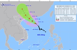  Bão số 1 mạnh thêm, giật cấp 15, vùng biển Quảng Ninh đến Ninh Bình bị ảnh hưởng