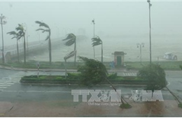 Phú Thọ ứng phó với mưa diện rộng do ảnh hưởng của bão số 3