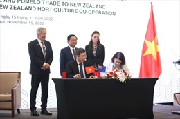 Nâng tầm hợp tác nông nghiệp Việt Nam - New Zealand