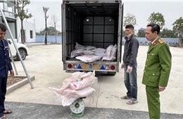 Quản lý thị trường Hà Nội tạm giữ 700 kg nầm lợn không rõ nguồn gốc xuất xứ