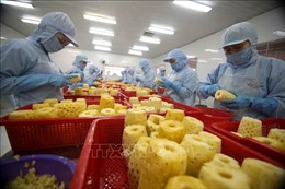 Hỗ trợ doanh nghiệp đẩy mạnh xuất khẩu chính ngạch sang Trung Quốc 