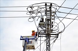 EVN khuyến cáo về tai nạn do vi phạm hành lang an toàn lưới điện 