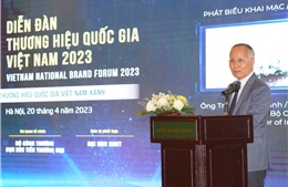 Doanh nghiệp thương hiệu quốc gia Việt Nam đã có sự tăng trưởng vượt bậc 