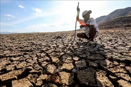 El Nino đã bắt đầu, Việt Nam đối diện nguy cơ xảy ra khô hạn cục bộ hoặc diện rộng