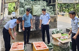Tạm giữ gần 3 tấn thịt vịt và trứng gà non đông lạnh tại Bắc Ninh