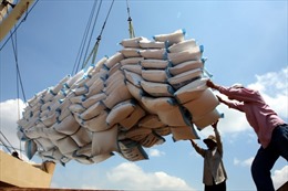 Khai thác tốt các FTA để chiếm lĩnh thị trường mới, nâng tính cạnh tranh cho gạo Việt Nam