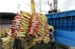 170 thương nhân đủ điều kiện kinh doanh xuất khẩu gạo