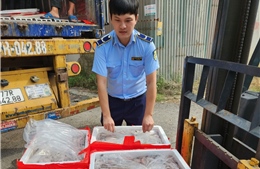Phát hiện trên 4,5 tấn cá khoai dương tính với chất foocmon tại Thanh Hoá