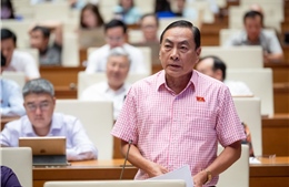 Đại biểu Quốc hội thảo luận hai phương án quyền sử dụng đất của người Việt ở nước ngoài