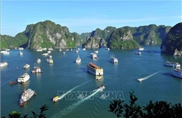 Quảng Ninh tiếp tục dẫn đầu cả nước thu hút vốn FDI