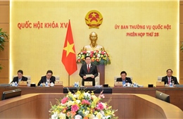 Uỷ ban Thường vụ Quốc hội quyết định thành lập thị xã Việt Yên và thị trấn Hậu Hiền 