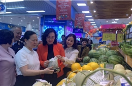 Kiểm tra công tác bảo đảm hàng hóa Tết tại Hà Nội và Thành phố Hồ Chí Minh