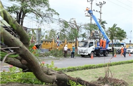 Có 173 khách hàng tại Chương Mỹ bị mất điện do ảnh hưởng của mưa bão