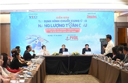 Thúc đẩy phát triển nguồn năng lượng tái tạo tại Việt Nam