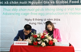 Global Food Partners hỗ trợ nông dân tham gia chương trình tín chỉ gà đẻ không nhốt lồng