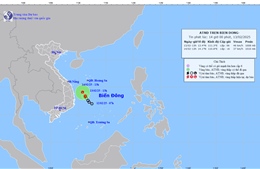 Áp thấp nhiệt đới hướng về vùng biển Quảng Ngãi đến Phú Yên