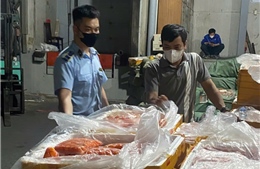 Phát hiện kho đông lạnh chứa hơn 7 tấn trứng non, tràng gà, nầm lợn không rõ nguồn gốc