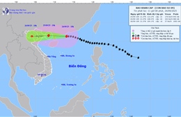 Bão Ragasa giật trên cấp 17, hướng vào Quảng Ninh - Hải Phòng