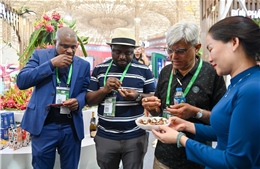 Doanh nghiệp quốc tế tìm kiếm cơ hội hợp tác tại Hội chợ Mùa Thu 2025