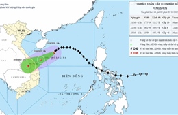  Bão số 12 cách Đà Nẵng 450 km, miền Trung có mưa lớn