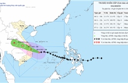 Tối 6/11, Bão số 13 đi vào Quảng Ngãi - Đắk Lắk 
