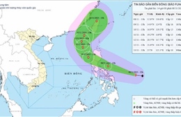 Từ Quảng Ninh đến Đắk Lắk chủ động ứng phó với bão gần Biển Đông